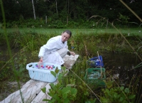 Eva collecting samples 2012
