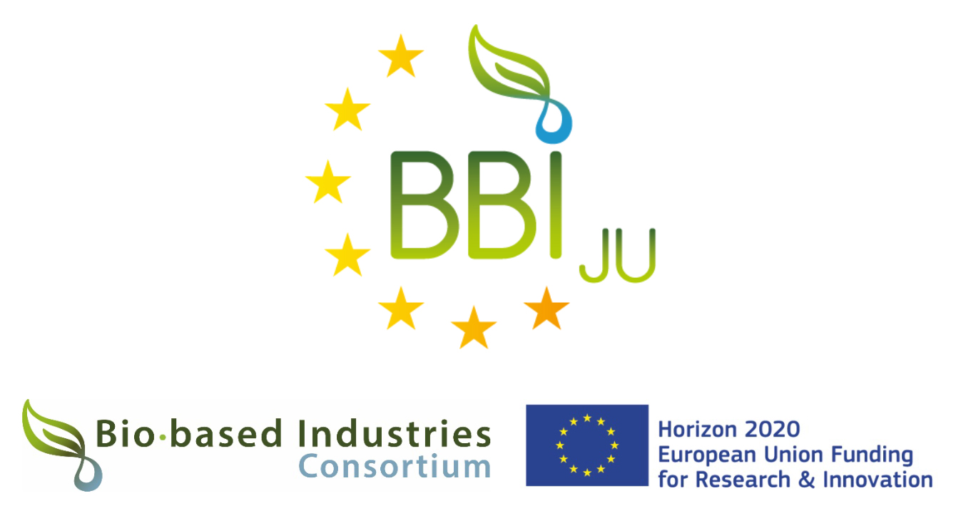 logo BBI JU